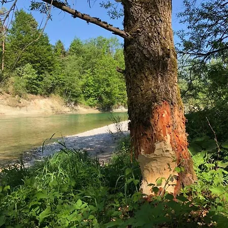 Königsdorf - Urlaub Im Tölzer Land Konigsdorf