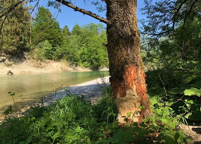 Koenigsdorf - Urlaub Im Toelzer Land Konigsdorf